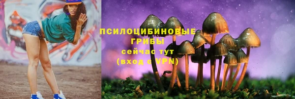 тгк Арсеньев