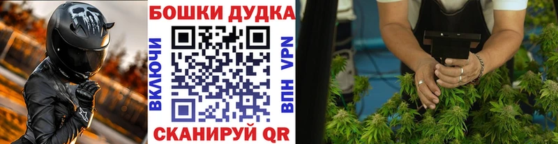 закладка  Суворов  Каннабис Amnesia 
